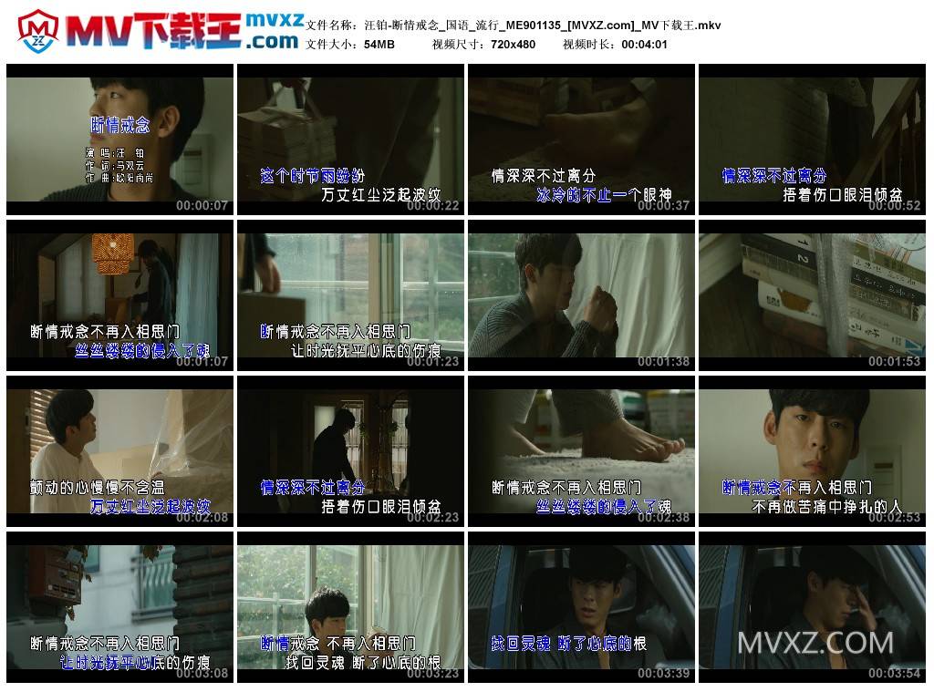 汪铂-断情戒念_国语_流行_ME901135